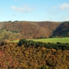 a-kontz_011_img_2339