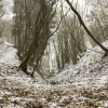 a-kontz_057_mg_1271